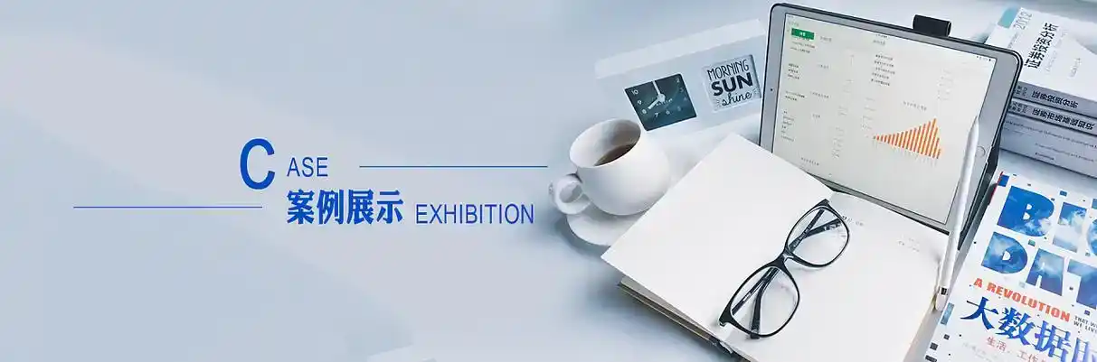 沅江市软件开发